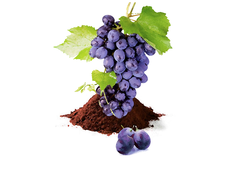 Natur Tanya® Vörös Szőlőhéj Őrlemény