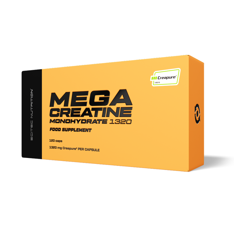 Mega Creatine Monohydrate 1320 120 caps